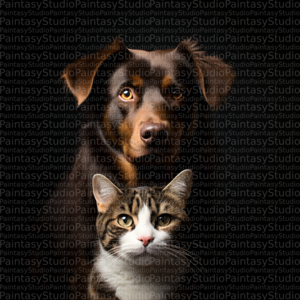 Amicizia di Pelliccia: Il Cane e il Gatto