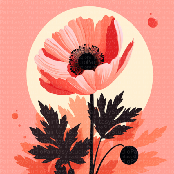 Papavero Rosa
